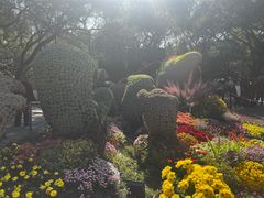 -杭州植物园