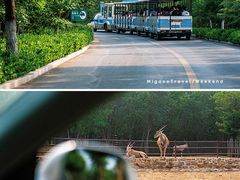 -济南野生动物世界