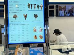 -CORNER CONE GELATO酷矿手作霜淇淋(南头古城店)