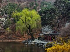 -香山公园