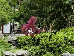 -常熟方塔园