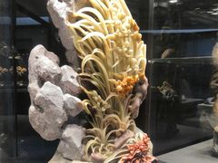 -青田石雕博物馆