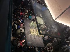 -秦始皇帝陵博物院-丽山园