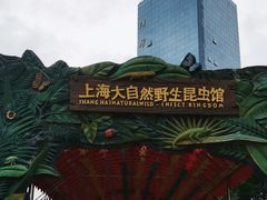 -上海大自然野生昆虫馆(东方明珠·爬宠昆虫探索中心)
