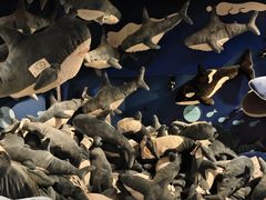 -宜家家居(四元桥商场店)