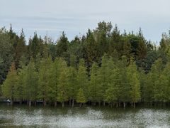 -白鹭湾湿地公园