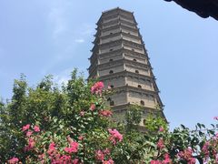 -法门文化景区