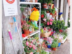 -万商花鸟市场