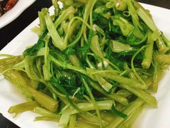 -协和菜馆(凤凰街店)