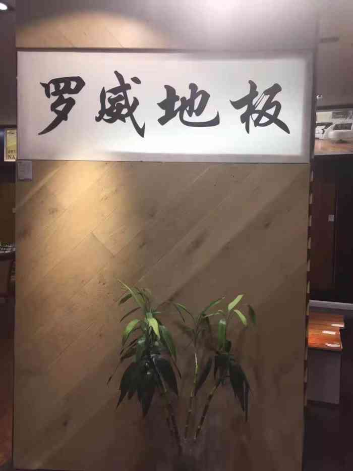 罗威地板图片