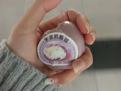 -楊記桃酥王(下马坊店)