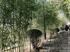 -竹子庵公园