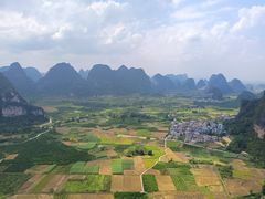 -会仙湿地