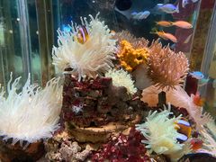 -太平洋海底世界