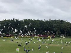 -白鹭洲公园