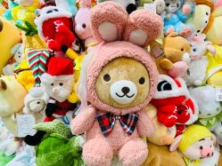 -莫莉幻想儿童乐园(三河燕郊永旺店)