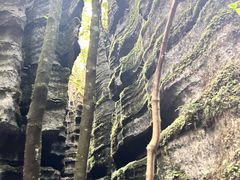 -梭布垭石林景区