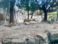 -灵玲国际马戏城
