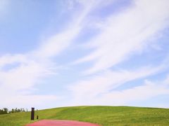 -春花秋色城市公园