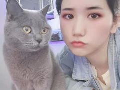 -极木²邸 人与宠物·互动社区