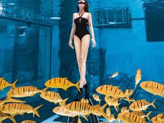 -三亚海昌梦幻海洋不夜城