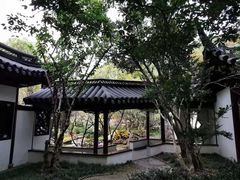 -汇龙潭