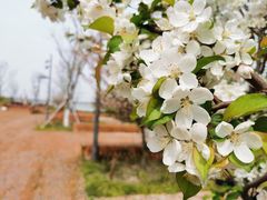 -祝甸砖窑文化馆