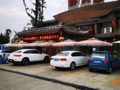 -胖大姐黄辣丁鱼庄(新津店)