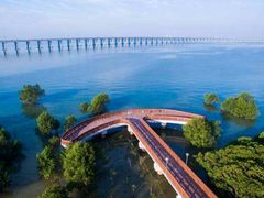 -宝安西湾红树林湿地公园