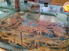 -山东八大碗山东老字号