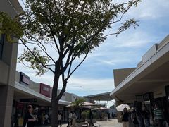 -三井奥特莱斯购物城(木更津店)