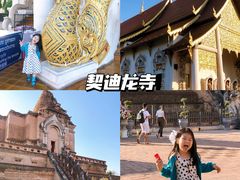 -清迈夜间动物园