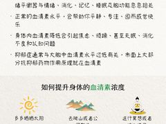 -观心实验室·心理咨询(徐汇店)
