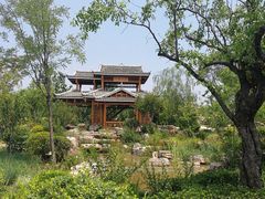 -武清南湖绿博园