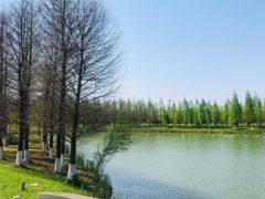 -苏州太湖国家湿地公园