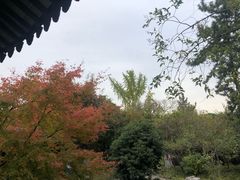 -嘉定博物馆
