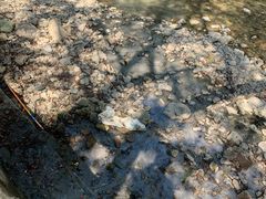 -水墨汀溪风景区