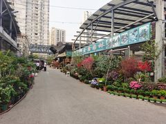 -六出私塾LiuChu•成人美术书法系统课程专业画室(熊婆婆的花园店)