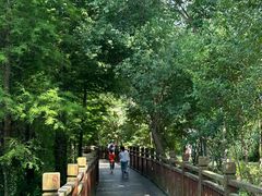 -溱湖国家湿地公园