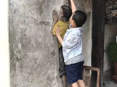 -槟城街头艺术街区