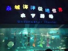 -泉城欧乐堡海洋极地世界