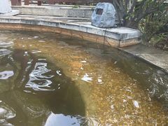 -深业半汤御泉庄温泉