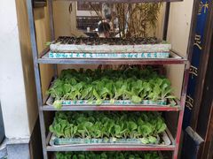 自助取餐区-福照楼汽锅鸡·云南菜(护国路店)