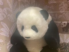 -成都尼依格罗酒店