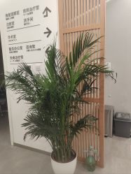 -和颜一美轻医美连锁