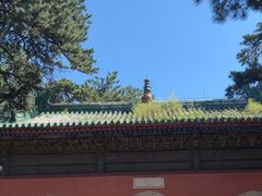 -普乐寺