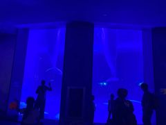 -上海海昌海洋公园-冰山北极馆