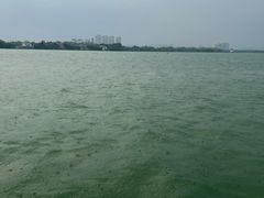 -南湖国家城市湿地公园
