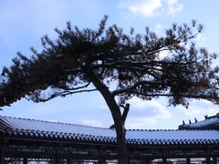 -迎泽公园