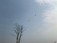 -滆湖低碳生态公园
